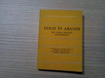 EFIGII IN ABANOS - Mircea Traian Biju (dedicatie-autograf) editie - 1978, 255 p. foto