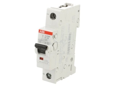 &amp;Icirc;ntrerupător Supracurent ABB 1A 230VAC 220VDC 1 Pol 2CDS271061R0217 foto