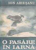 O pasare in iarna foto
