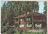 Bnk cp Baile Homorod ( Jud Harghita ) - Vedere - circulata - marca fixa, Printata