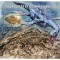 AFRICA CENTRALA 2015 - Dinozauri si fosile /colita + bloc ( 2 imagini)