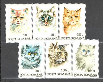 Romania.1993 Pisici ZR.898 foto