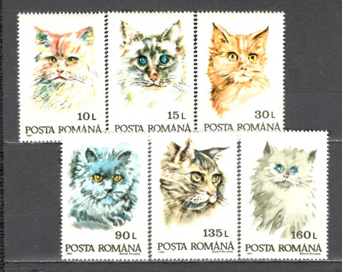Romania.1993 Pisici ZR.898