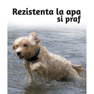Zgarda de caini/pisici cu dispozitiv de monitorizare in timp real, Exaltus&amp;reg;, GPS incorporat, Pentru animale de companie, Adulti, Copii, Automobile, Ur foto