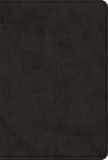ESV Value Large Print Compact Bible (Trutone, Black)