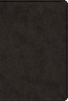 ESV Value Large Print Compact Bible (Trutone, Black) foto