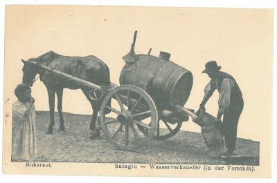 3912 - Bucuresti, SACAGIU, Romania - old postcard - used foto