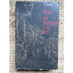 FOC IN HANUL CU TEI-I.PELTZ