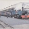 bnk cp Trenuri - Vale of Rheidol line narrow gauge train