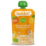 Gustare piure BIO din lapte de migdale, mango si ananas, +9 luni Smileat
