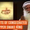 UNIC-Inel Sarpe Sacru CUPRU 100%,Consacrat,ritualizat de SADHGURU in TEMPLU,Indi