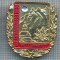AX 206 INSIGNA-TURISM MONTAN-FLOARE DE COLT SI MUNTI-DEM BERGWANDERER MITTENWALD