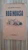 Ruginoasa - Theodor Rascanu