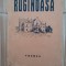 Ruginoasa - Theodor Rascanu