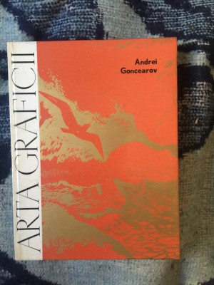 d7 Arta graficii - Andrei Goncearov foto