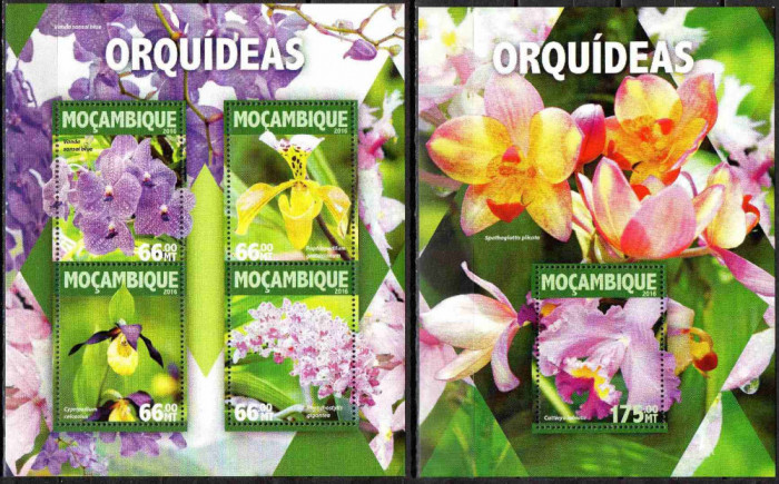 MOZAMBIC 2016, Flora, Orhidee, serie neuzată, MNH