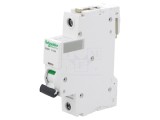 &Icirc;ntrerupător Supracurent 230V 10A 1P D