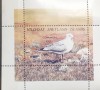 Hildasay Shetland island pasari, pescăruș bloc Mnh, Nestampilat