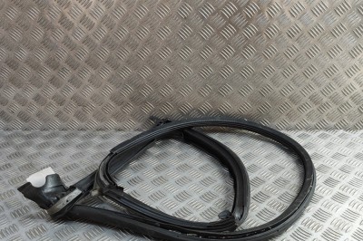 Garnitura ușă dreapta spate TESLA MODEL S 2018 OEM: 6009586-00-I | 31874725 foto