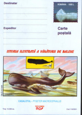 Romania - Intreg postal CP necirculat 2001- Istoria ilust. a vanatorii de balene foto