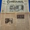 ziarul cotidianul 8 februarie 1993 - articol orasul orastie