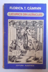 LICURICII DIN ADINCURI SAU CONVORBIRI DESPRE FUNDAMENTELE MATEMATICII de FLORICA T. CAMPAN , 1983 foto