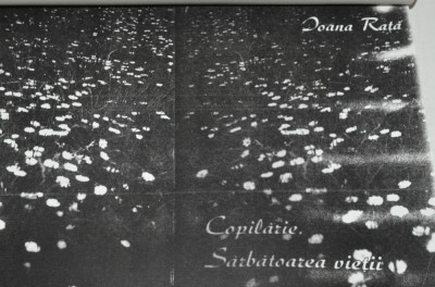Copilarie, sarbatoarea vietii- Ioana Rata - xerox foto