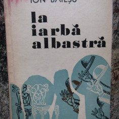 Ion Baiesu – La iarba albastra ( ilustratii Florin Puca )