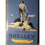 SHELLEY-DAN GRIGORESCU-104296