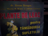PLANTE DE LEAC PENTRU TAMADUIREA SUFLETULUI - DR DORIN DRAGOS,TRITONIC 2002 393p