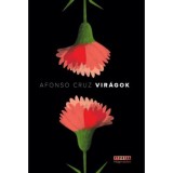 Vir&aacute;gok - Afonso Cruz