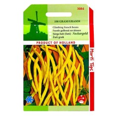 Seminte fasole fideluta, galbena Neckargold 100 gr, Holland foto