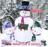 Marian Stere - Surprize De Crăciun, CD