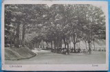 Carte postala, Caciulata, Sursa, 1926