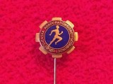 Insigna - Asociația Sportivă Suedeză pentru Sport