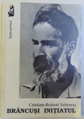 BRANCUSI INITIATUL de CRISTIAN ROBERT VELESCU , 1993