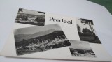 CARTE POSTA PREDEAL CIRCULATA, Fotografie