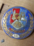 Insigne (5) Steme Botosani