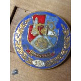 Insigne (5) Steme Botosani