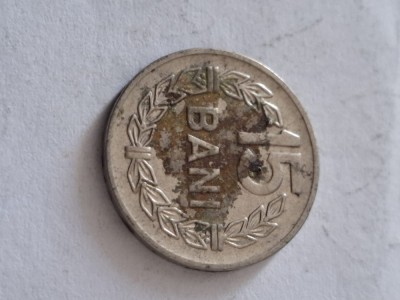 15 bani 1966 foto