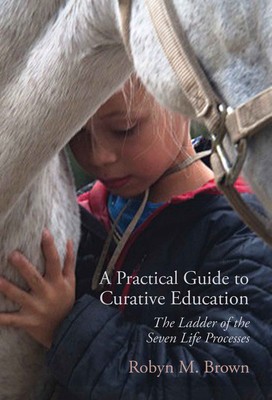 A Practical Guide to Curative Education: The Ladder of the Seven Life Processes foto