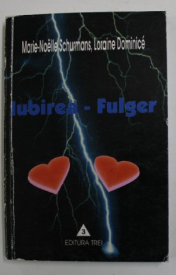 IUBIREA - FULGER - ESEU DE SOCIOLOGIE COMPREHENSIVA de MARIE - NOELLE SCHURMANS si LORAINE DOMINICE , 2002 foto