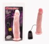 Vibrator cu ventuza si telecomanda, Lybaile