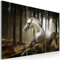 Tablou canvas 3 piese - Un cal cald In mijlocul copacilor - 120x80 cm foto