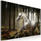 Tablou canvas 3 piese - Un cal cald In mijlocul copacilor - 120x80 cm
