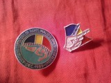 2 Insigne Romania Dec. 1989 - Asociatia Luptatorilor si semnul Victoriei , metal si email , d=3cm si h=2,2cm