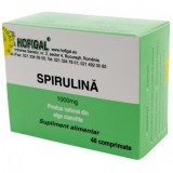 Spirulina 1000mg Hofigal 40tb