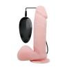 Vibrator Realist Rotating&Vibrating Dong Flesh 19 cm