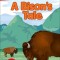 DK Super Readers Pre-Level a Bison's Tale