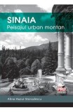 Sinaia: Peisajul urban montan | Alina Huzui-Stoiculescu